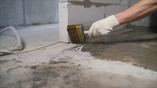 Top rated local Wet Basement Repair specialists in Saint Louis, MI